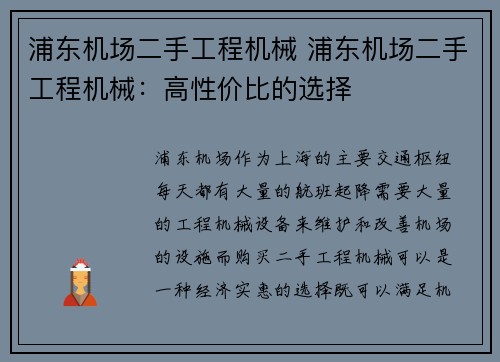 浦东机场二手工程机械 浦东机场二手工程机械：高性价比的选择