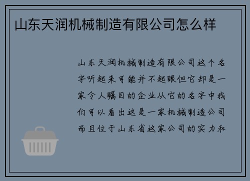 山东天润机械制造有限公司怎么样
